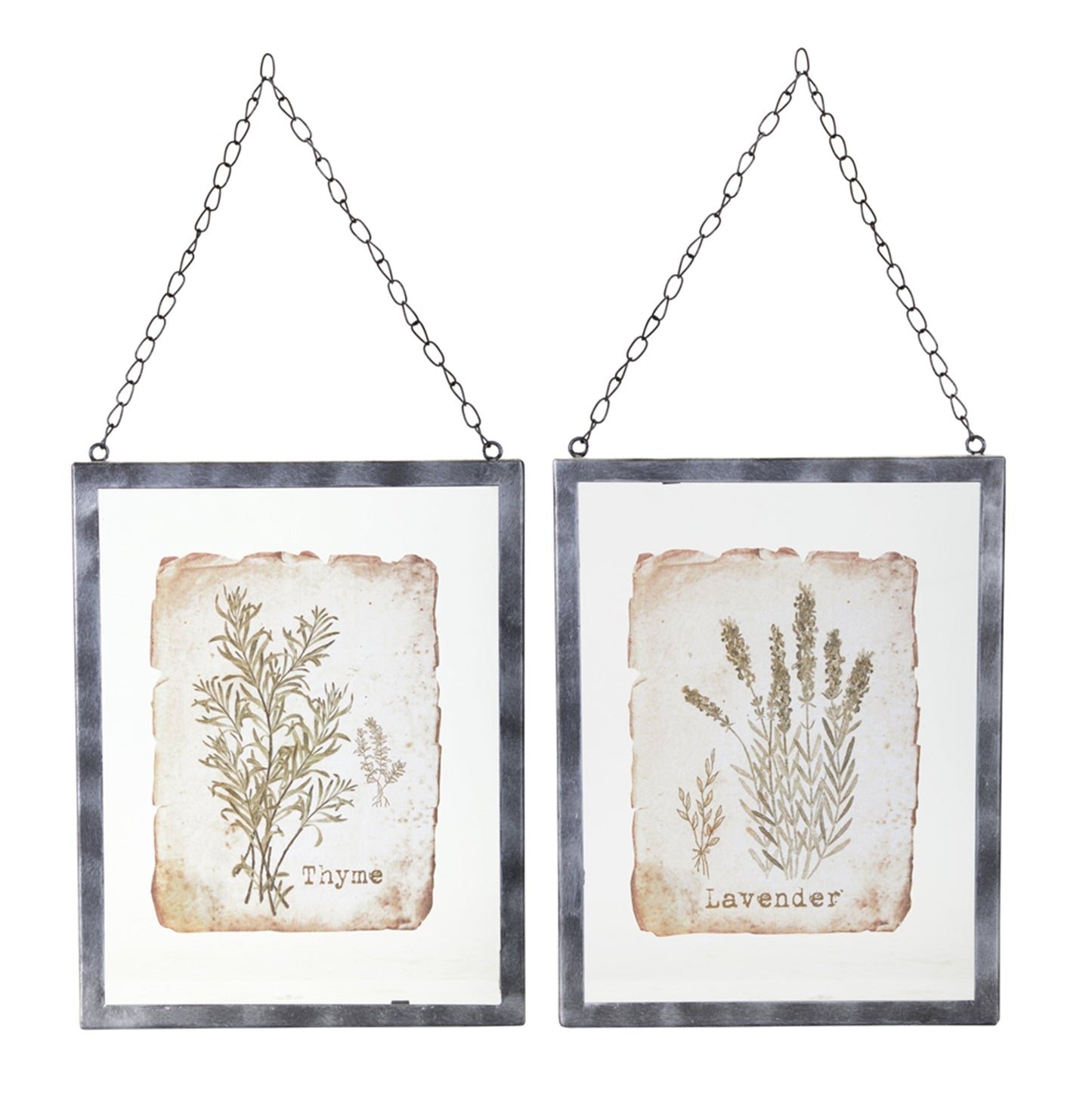 Lavender/Thyme Frame (Set of 2)